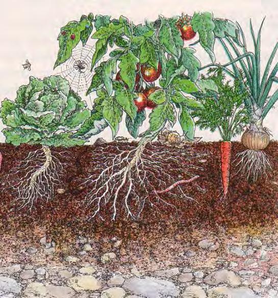 Soil Physical Properties: Soil Texture Can any soil texture be sutiable for