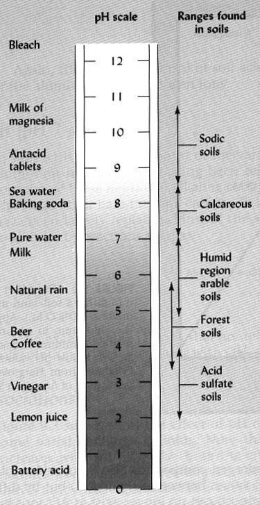 Soil ph Measure of Hydronium
