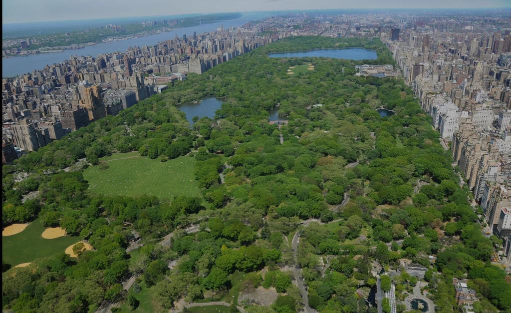 Public-Private Partnerships: The Central Park Conservancy