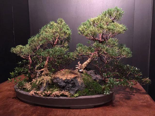 Other News Bill Valavanis is producing a US National Shohin Bonsai Exhibition, June 23-25, at the NC Research Campus in Kannapolis.