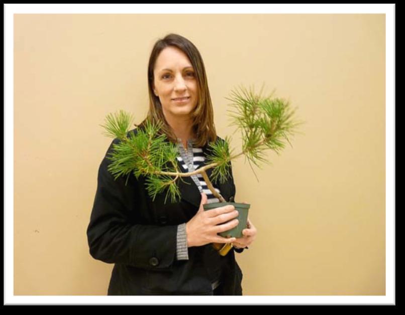 youngest, member. Nicely done, Simon! Here s a photo of new member Stacy A. with a nice little pine she chose from the table at the April meeting.