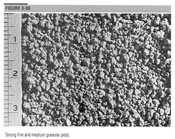 Soil Structure Soil structure is the binding and arrangement of