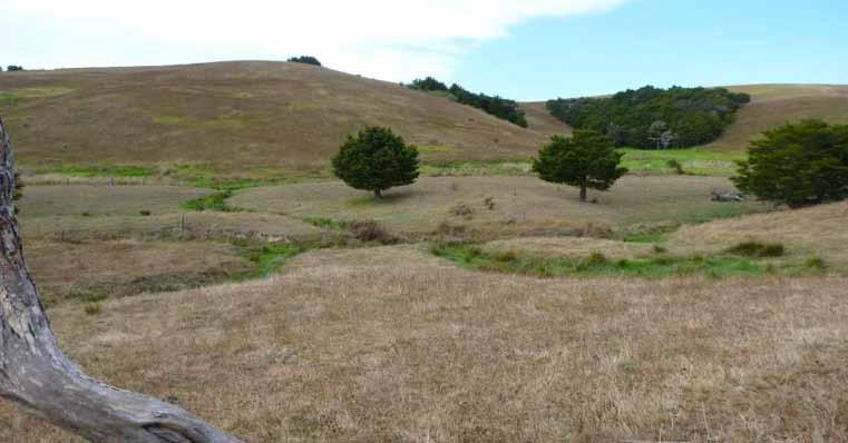 Whareora (WO) on low terraces, hills have Rangiora soils (described in Mature greaywacks soils fact sheet 3.4.