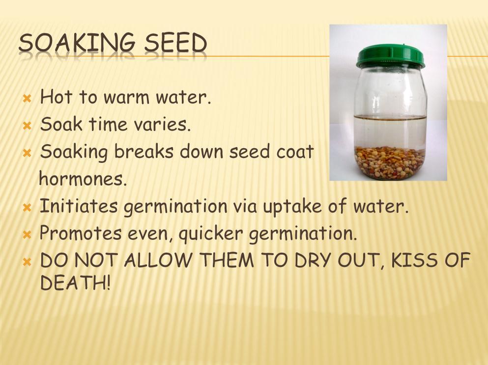 Note: Many seeds can be pre-moistened to speed up germination time and produce even germination results Drain in strainer and