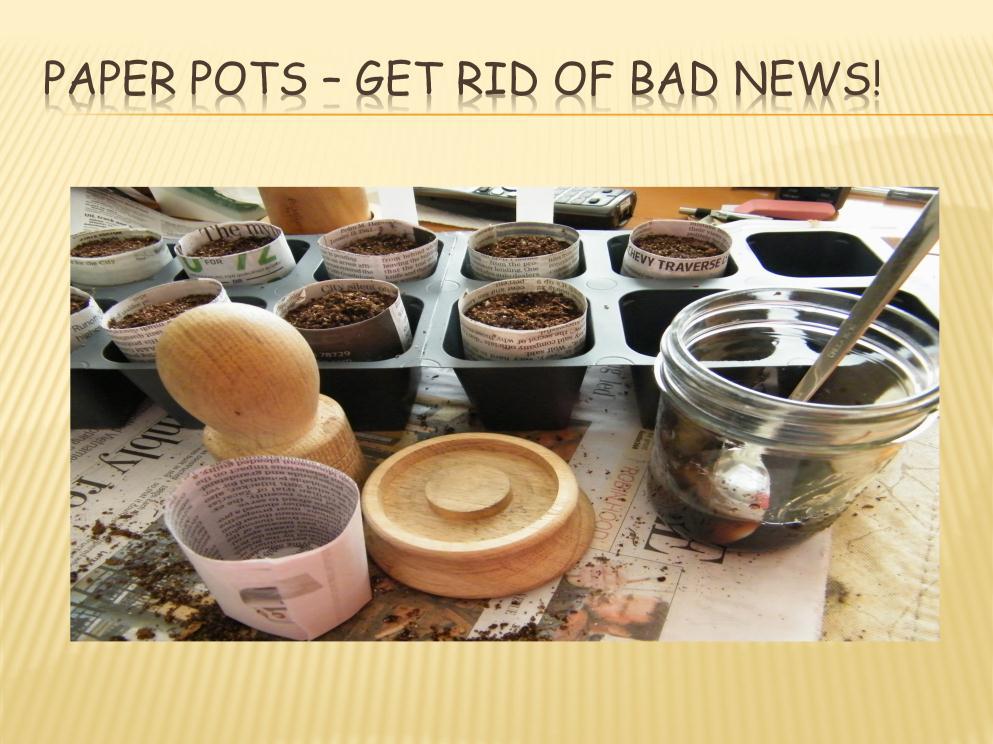 If you wish to recycle try paper pots you can make them from tomato past cans or from wooden forms.