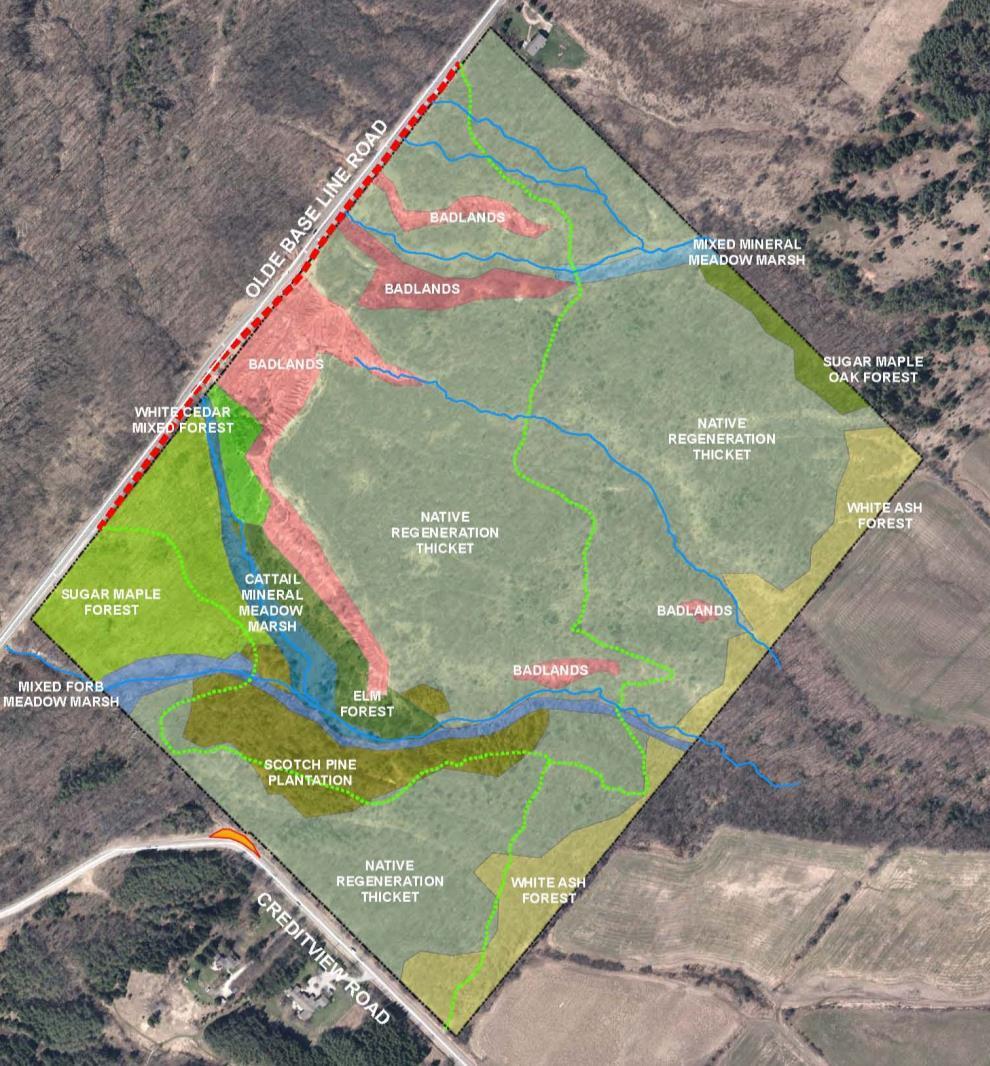 21 Site Boundary Watercourse Protection Fence Bruce Trail Informal Parking (Creditview Road) Badlands Scotch Pine Plantation White Ash Forest