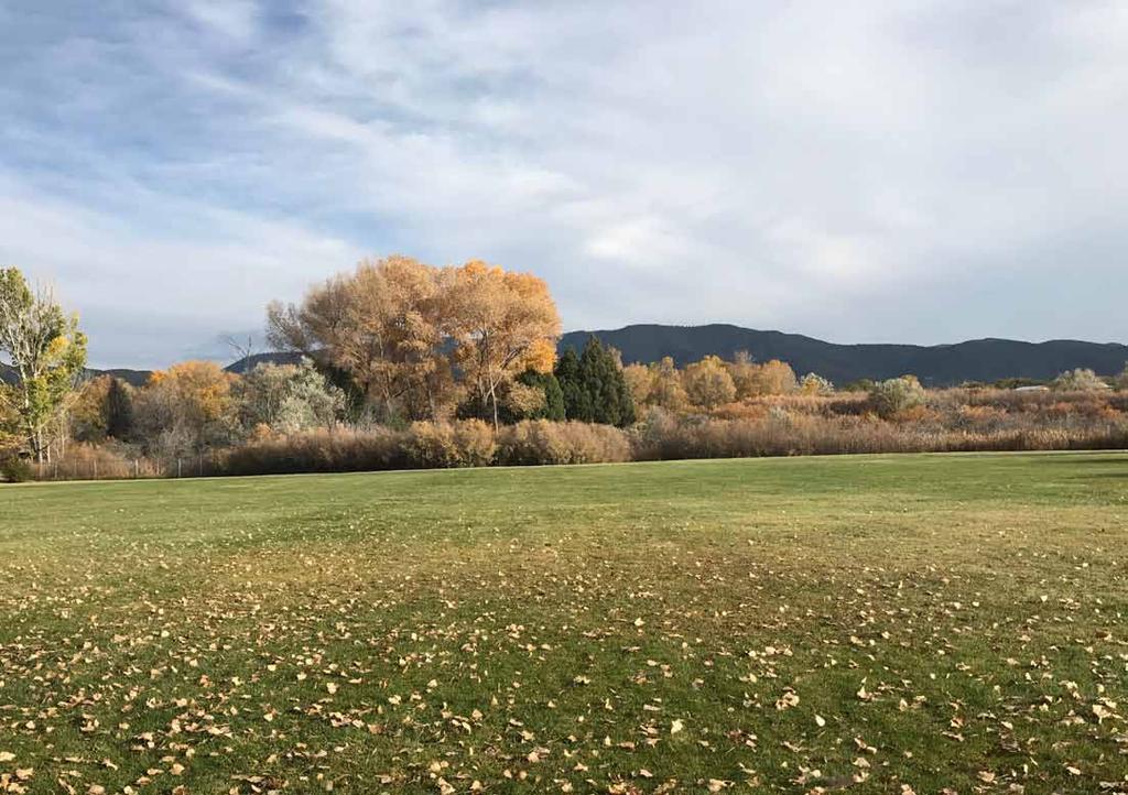 VISION Town of Taos Parks will be distinctive and beautiful public landscapes that provide