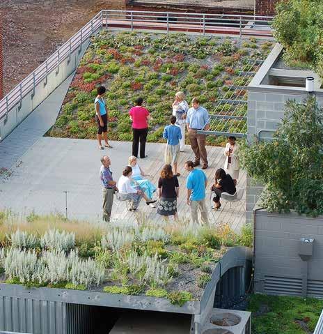Faced with the need to replace the existing roof, ASLA took the opportunity to install one that maximizes the benefits of green infrastructure, while showcasing how landscape architects add value to