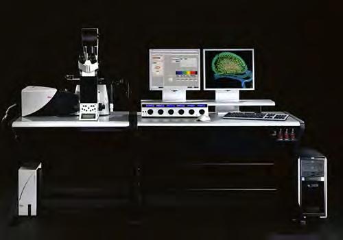 Imaging Spectroscopy (FLIM), time-resolved analysis Fluorescence Resonance Energy