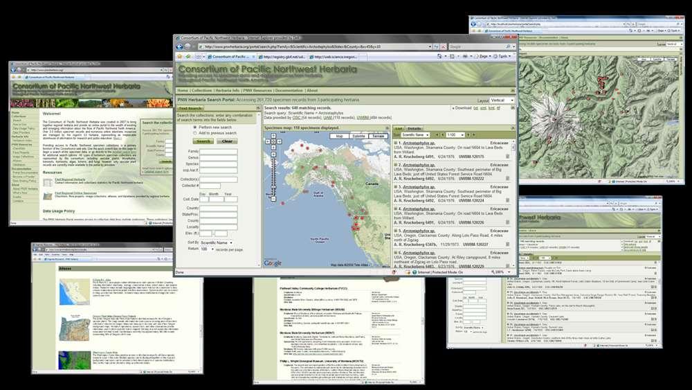 Development of the PNW Herbaria web site Started in 2007 to provide a single access point to herbarium specimen data for the Pacific Northwest and to
