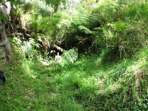 zone (protected area within WITE SOLID boundary): Photo to assist in location: Brick bypass tunnel
