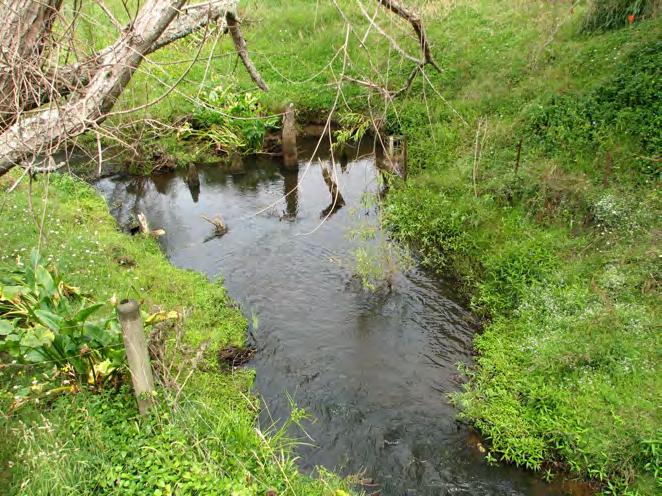 (protected area within WITE SOLID boundary): Photo to assist in location: Old bridge piles in stream.