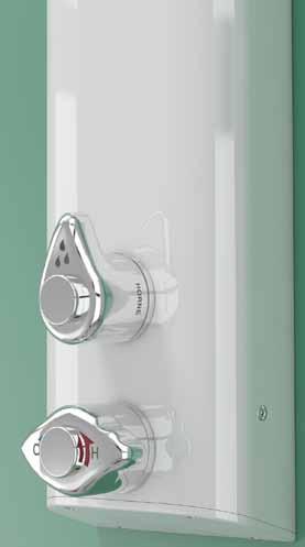 HORNE TSV1-A605A2L DUAL MODE SHOWER PANEL WITH AUTO DIVERT AND BS8300 COMPLIANT LEVER Includes BS 8300 compliant levers on flow and temperature controls with fixed vandal resistant shower head in