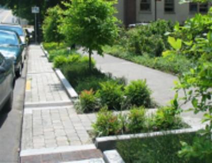 29 LID-Based BMPs: Sidewalk Trees and Tree Boxes Consider sufficient tree space in the right-of-way while maintaining traffic and pedestrian safety Consider sufficient tree space for root growth to