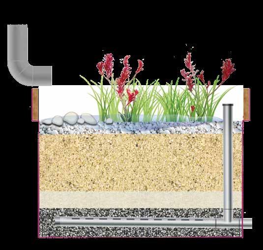 Building your raingarden Step 3 soil layers Screenings layer Add 7mm screenings (gravel) to a depth of 150mm over the slotted drainage pipe in the base of your raingarden.
