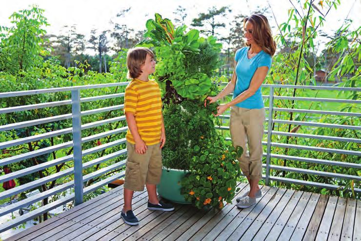 IMPORTANT SAFETY INFORMATION 1. The Tower Garden is an aeroponic growing system. Do not stand on the Tower Garden and take care to keep children from playing on the Tower Garden. 2.