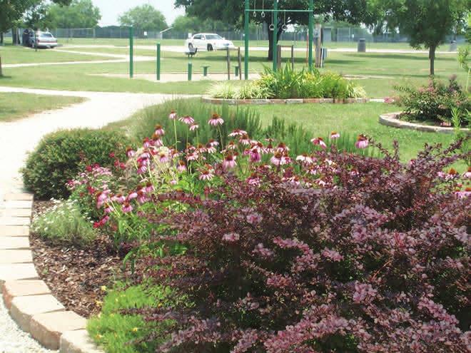 WATER EFFICIENT LANDSCAPE Native and adaptive plants require less water, pesticides, fertilizers, and maintenance.