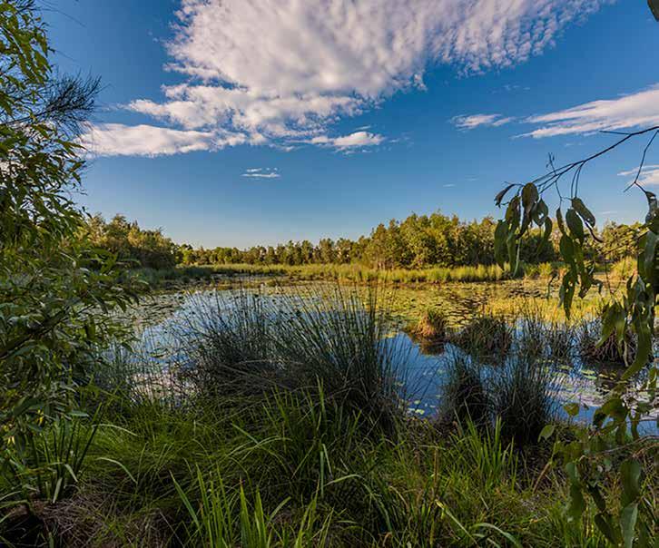 WETLAND A wetland of approximately two hectares is proposed to be integrated within the regional parks, providing for aesthetic amenity,