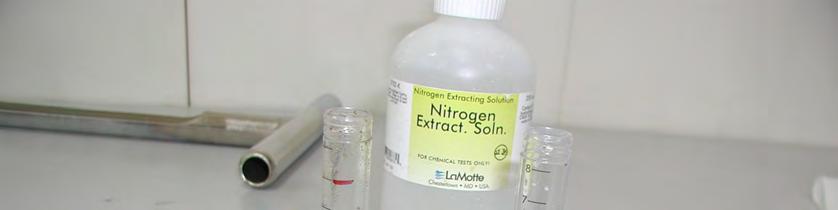 Soil Nitrogen Test: 5.