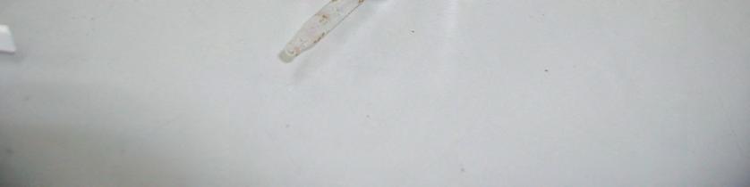 pipet before inserting tip into liquid.