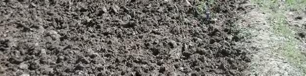 Soil Analysis: The major tool for determining the
