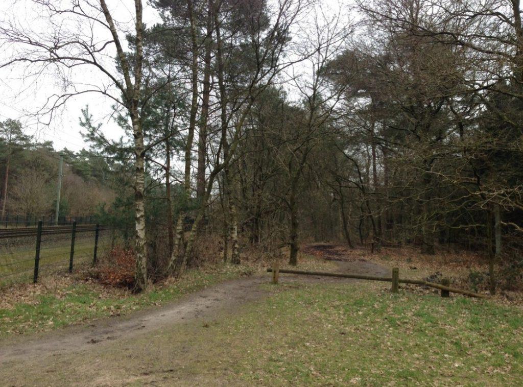 Lizards Lane, The Netherlands A 15 hectare strip of land managed as an
