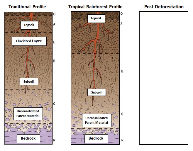 Name School Soil Profiles Directions: Below are three soil profiles.
