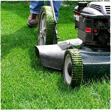 Leave Grass Clippings on Lawn Provides a source of slow release nitrogen Reduces fertilizer needs by up to 50% Less work