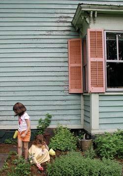 Avoid locating the garden on a site where buildings with lead paint have stood; lead may be present in the soil in toxic amounts.