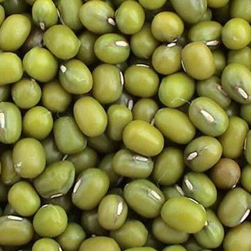 Mung Beans Legumes Warm Season Hard to find used
