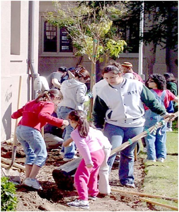 LABT Urban Forestry LABT has been planting trees since April 1992 and brings science based expertise, technical skills and equipment to the community.