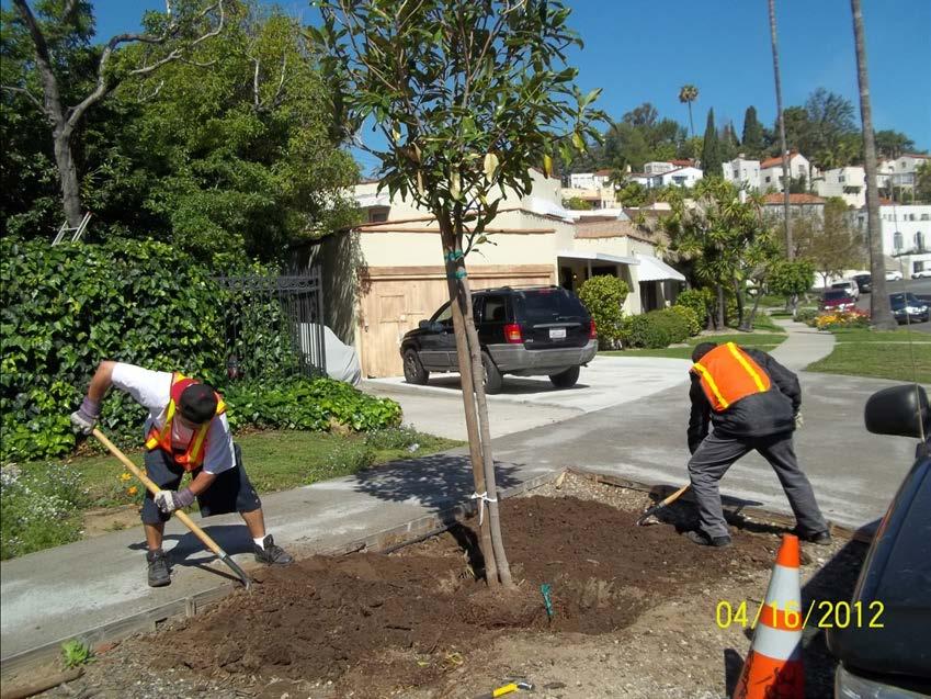 greening projects and tree plantings.