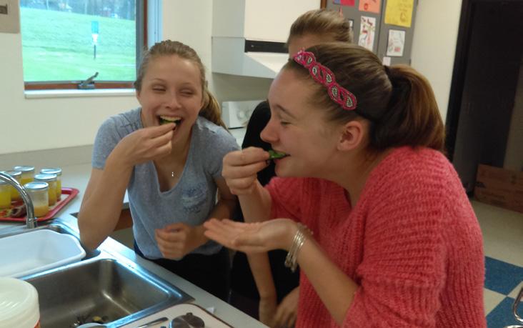 MEADVILLE AREA MIDDLE SCHOOL GARDEN-BASED CURRICULUM This year, most students at Meadville Area Middle School (MAMS) will have participated in garden-based activities at least a few times.