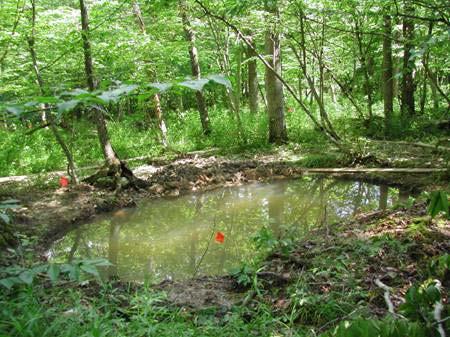 Consider developing a cluster or complex of ponds instead of just a single pond. 4. Decide how you will construct your pools There are several options for constructing pools and ponds.