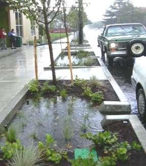 Why Living Green Infrastructure It Delivers!