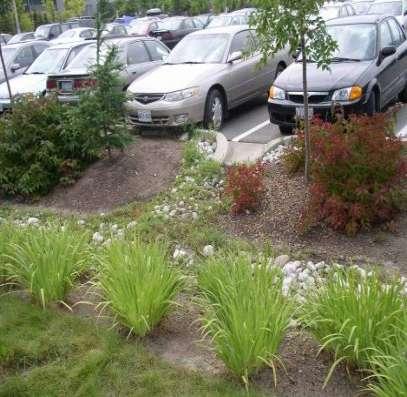 The Issue Green infrastructure provides a