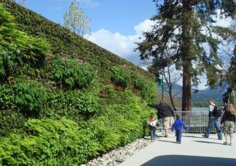 Green Roofs for Healthy Cities www.greenroofs.