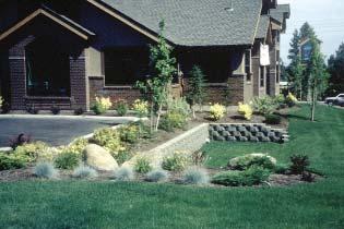 Landscape Areas To reinforce the character of Mountlake Terrace through site landscaping. 1.