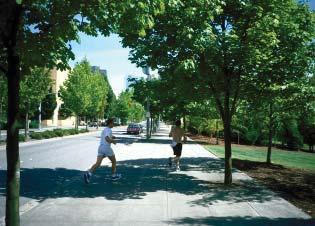 Street Trees To provide a tree-lined street frontage that features foliage, shade, visual character, and environmental quality. 1. Street trees refers to trees that are located adjacent to streets.