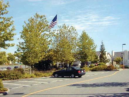 Parking Lot Screening To reduce the visual impact of parking lots through the use of landscape buffers or architectural screening features. 1.