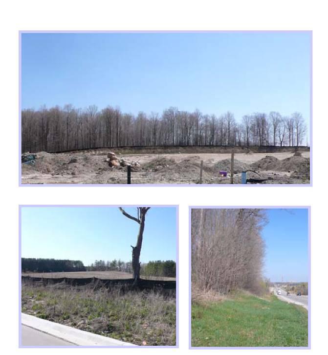 There is a second woodlot located along the northern edge of the site which extends past the District Centre boundary.