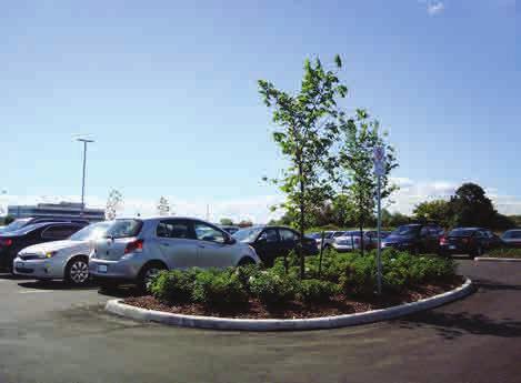 Design parking courts to incorporate: a) not more than 100-125 parking spaces per court b) various dividing elements between the parking courts, such as curbed and raised planted