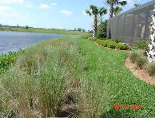 Training and Education Lawn Maintenance Pinellas County