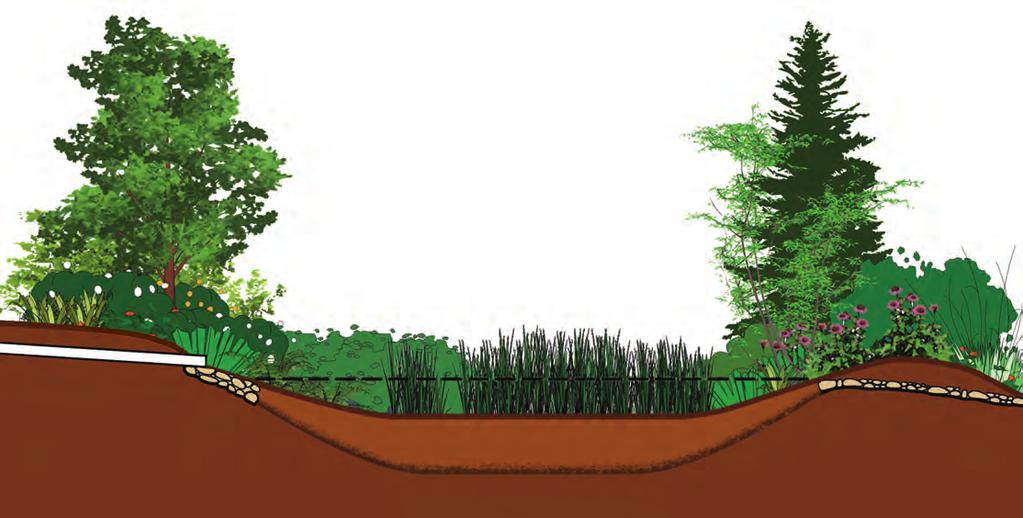 Gradual Side Slopes (2:1 Maximum) Slight depression ~ 3 inches Mulch Layer Overflow Soil media depth (6-12 Inches recommended) Tilled, amended soil (replaced if necessary) 2' 1' Existing Soil Bottom