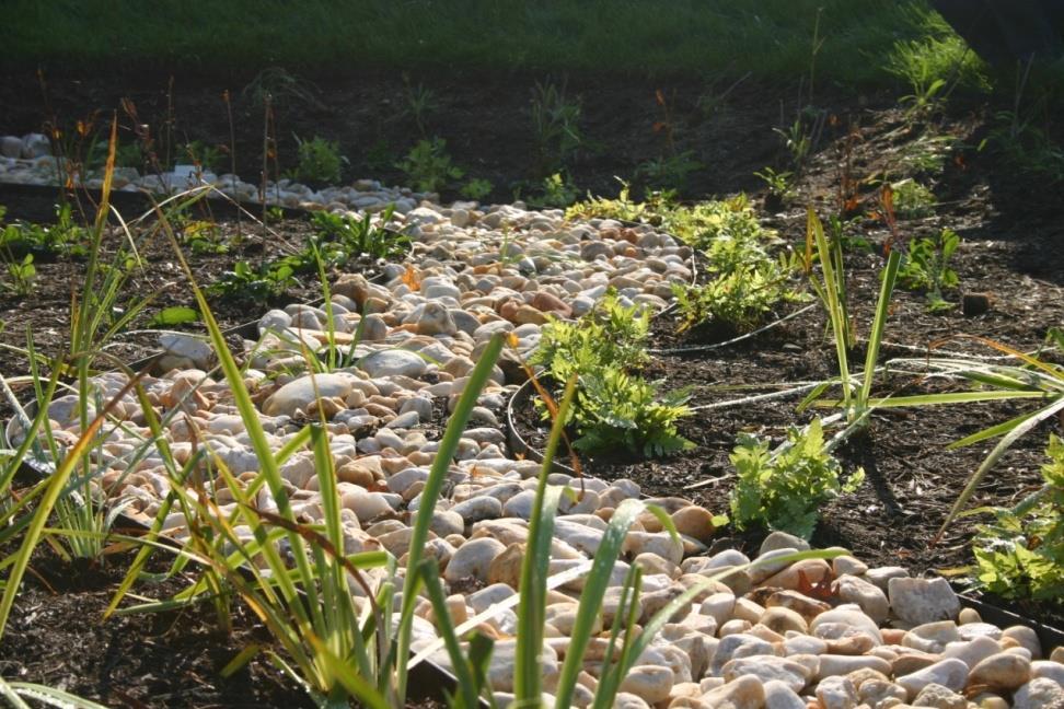 Design Criteria The size of the rain garden is a function of