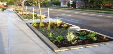 Stormwater Planters Vegetated