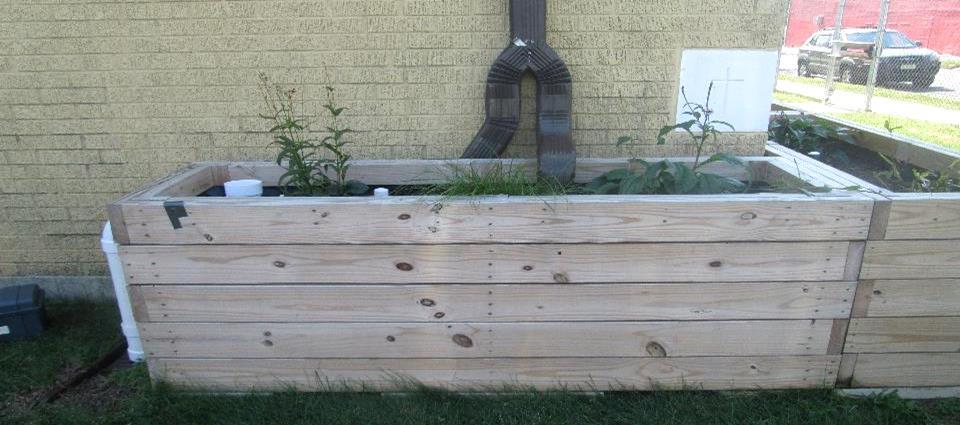 Downspout Planter Boxes at Acelero Learning Center