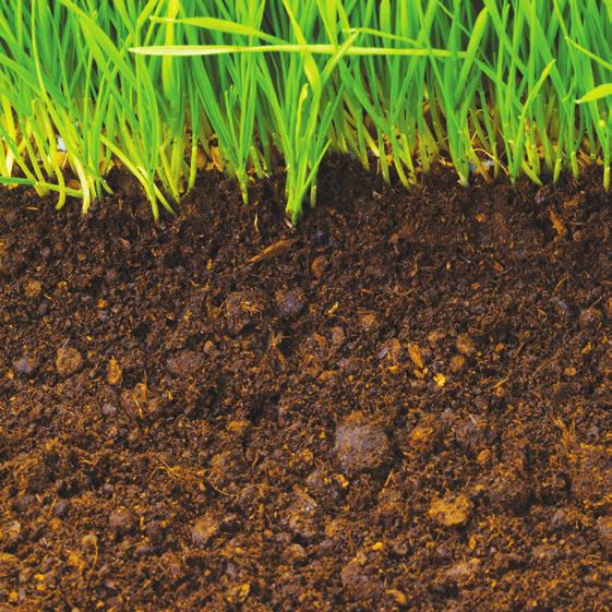 Soil Preparation and Amendments A number of amendments can be added to your soil, but what you add will depend on the specific issues your soil faces.