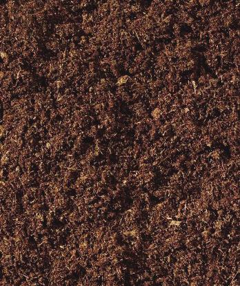 A soil test is an easy and inexpensive service that provides shade gardeners with information on the amendments and fertilizers they need as well as how much to add. soiltesting.tamu.