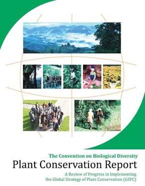 The future of the Global Strategy for Plant Conservation Looking beyond the 2010 Biodiversity Targets Synopsis report on its implementation has been prepared as part of the in-depth review of the